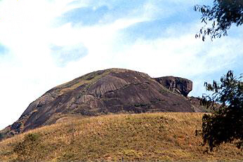 tartaruga