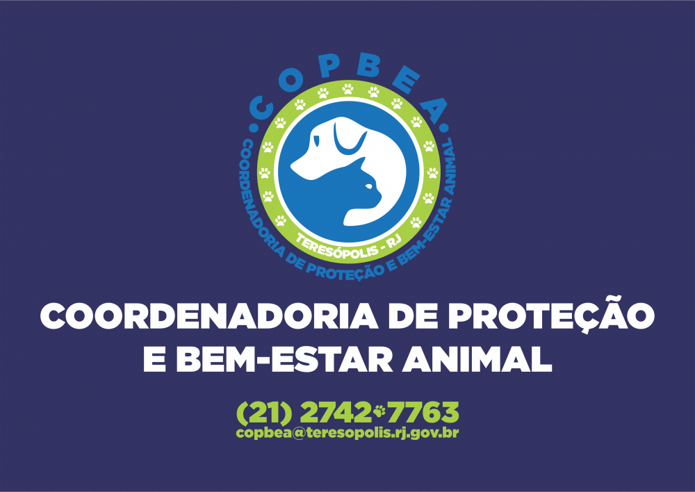 Proteção Animal: Coordenadoria esclarece aspectos  legais sobre comercialização de cães e gatos