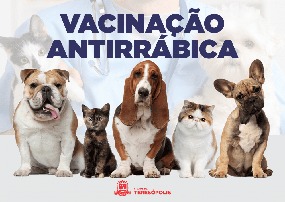 Saúde divulga calendário de vacinação antirrábica animal