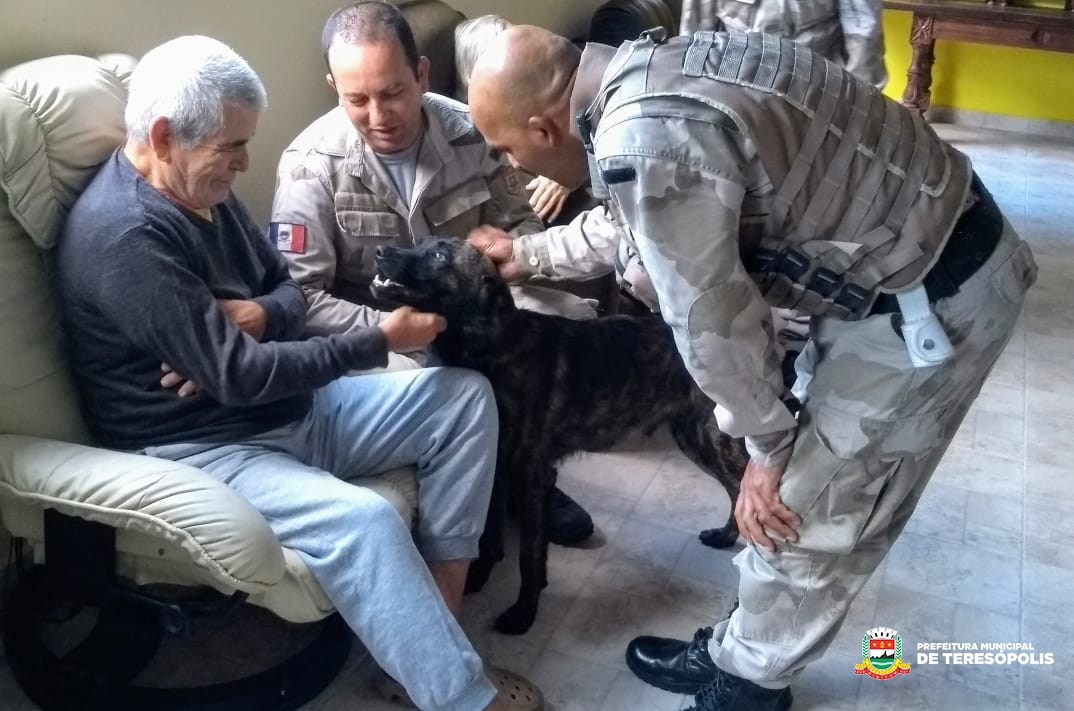 Terapia com cães ajuda idosos e crianças de Teresópolis
