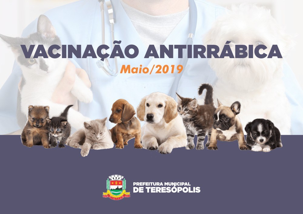 Beira Linha e Santa Cecília são os próximos bairros a receber a vacinação de cães e gatos contra raiva animal