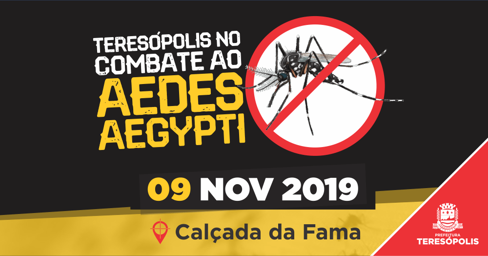 Teresópolis terá conscientização sobre combate ao mosquito Aedes aegypti