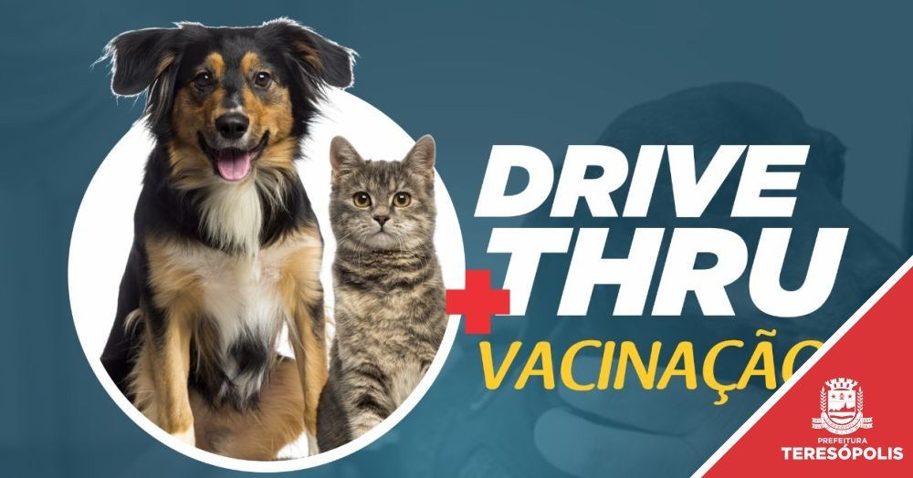 Vacinação gratuita de cães e gatos acontece domingo, dia 13, na Praça Olímpica