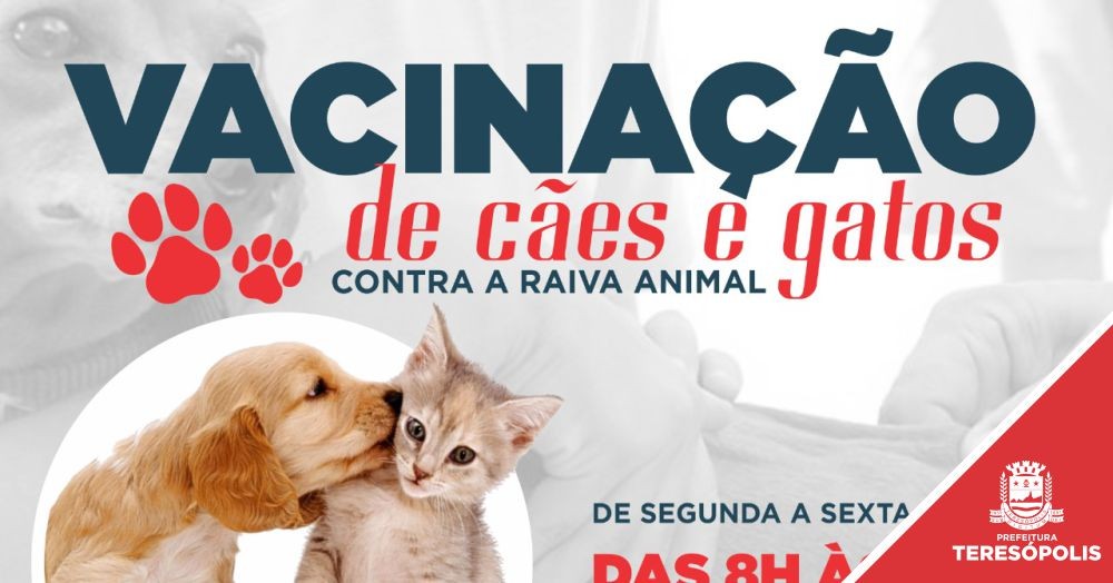 Secretaria de Saúde vacina 1.400 cães e gatos contra raiva em ação na Praça Olímpica