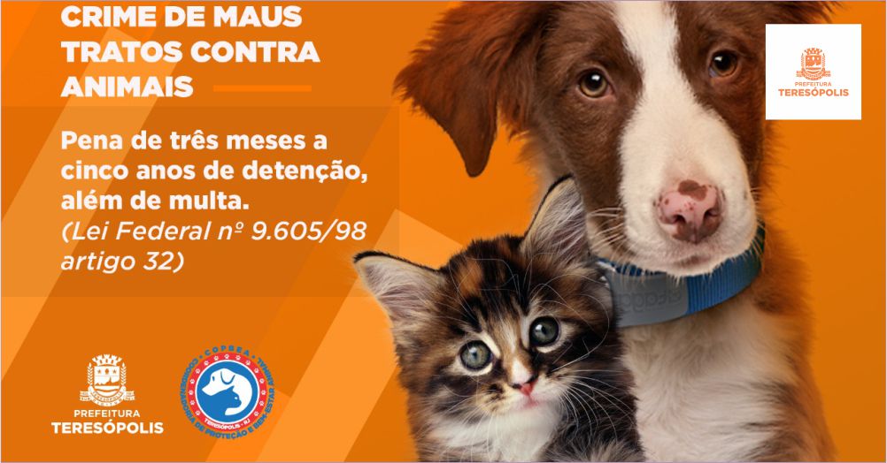 Campanha 'Abril laranja' para prevenção contra a crueldade animal