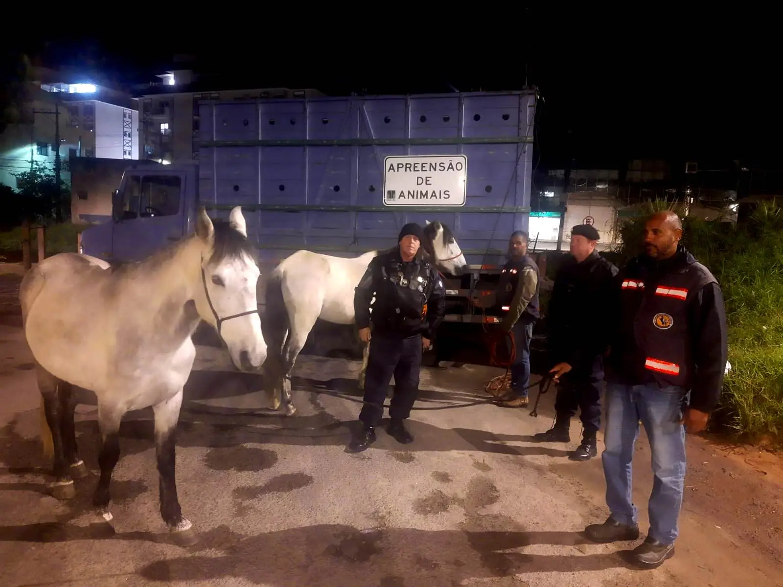 Cavalos em via pública são recolhidos pela COPBEA e dono é multado por reincidência