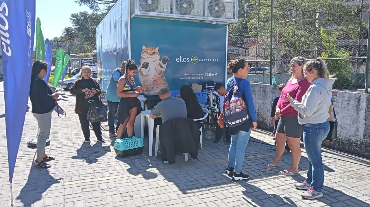 Projeto Ellos Castrapet realiza castração gratuita de cães e gatos