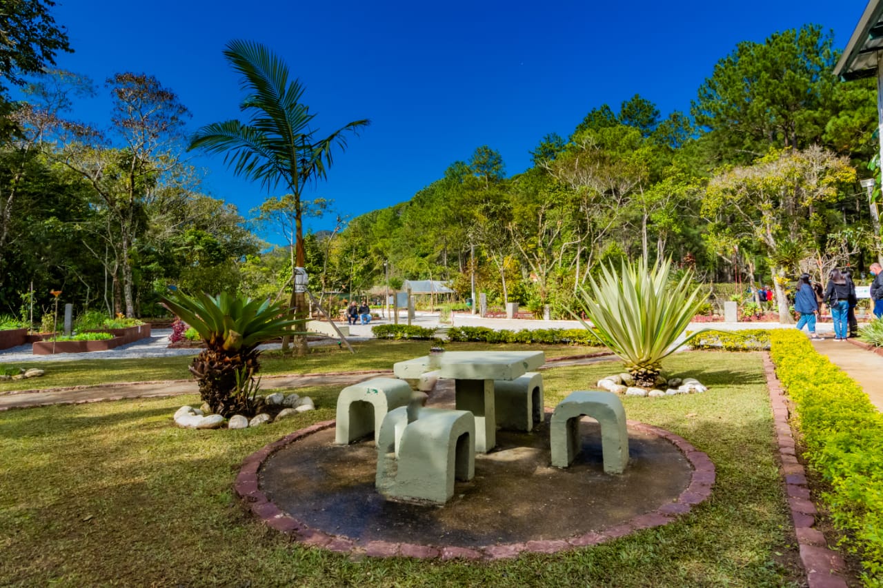 Teresópolis 132 anos: Horto Municipal terá exposição e atividades ambientais nesta quinta, 06 de julho