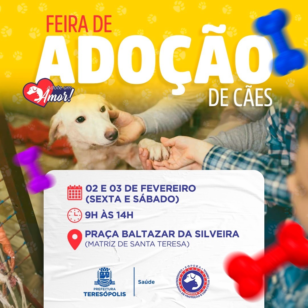 'Adote um amor': feira de adoção de cães acontece neste final de semana, na Praça Santa Teresa