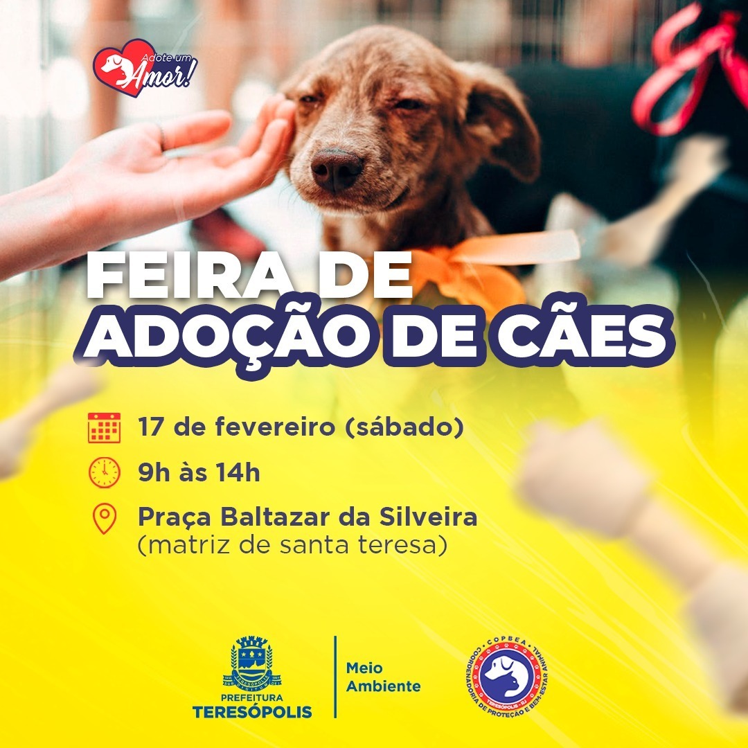 'Adote um amor': feira de adoção de cães acontece neste sábado, na Praça Santa Teresa