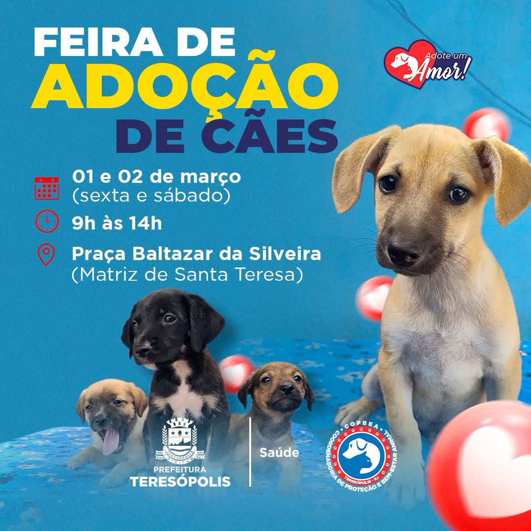 'Adote um amor': feira de adoção de cães acontece nesta sexta, 01, e no sábado, 02, na Praça Santa Teresa