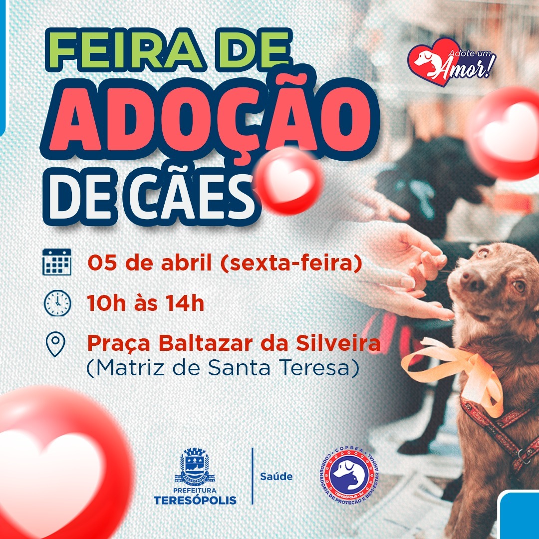 ADOTE UM AMOR: COPBEA realiza mais uma edição da feira de cães nesta sexta na Praça Santa Teresa