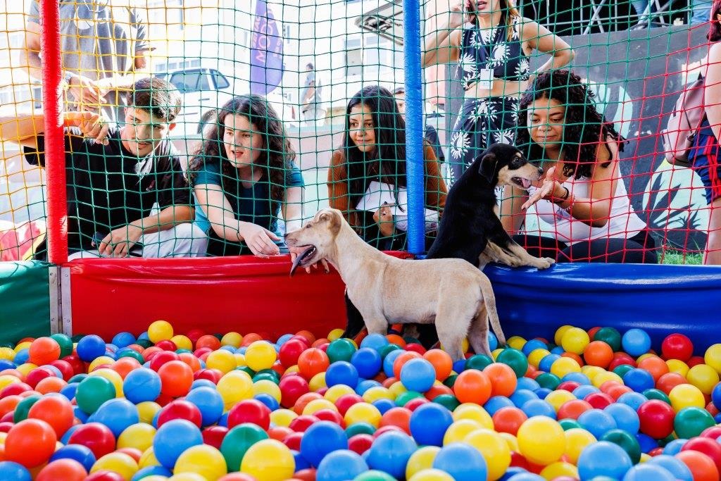 Escola Móvel PET do Senac fica em Teresópolis até o próximo dia 19.