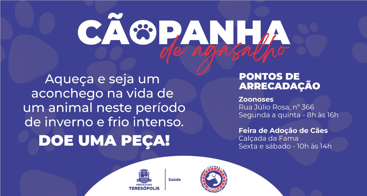 AGASALHO PET: COPBEA promove campanha para arrecadar cobertores e roupas para animais