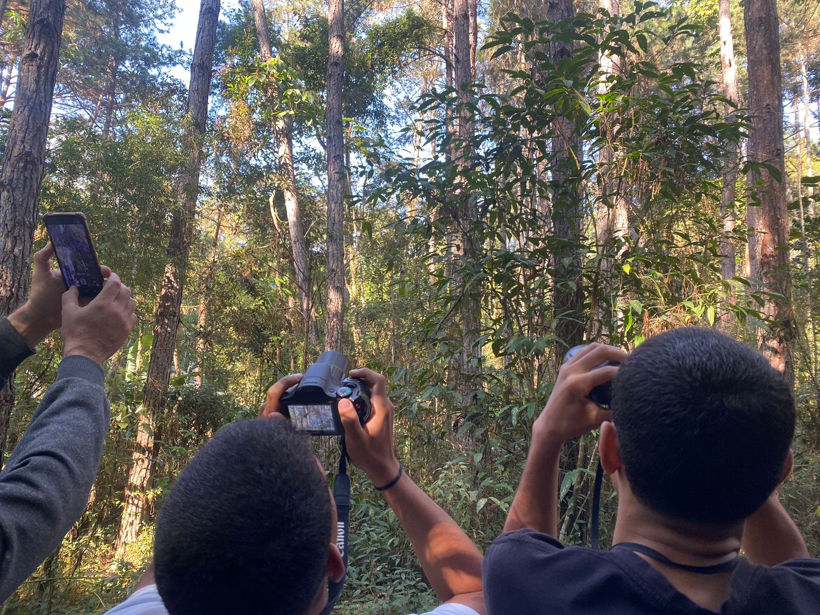 Alunos do Colégio Estadual Euclydes da Cunha realizam atividades relacionadas à Observação de Aves no Parque Natural Municipal Montanhas de Teresópolis