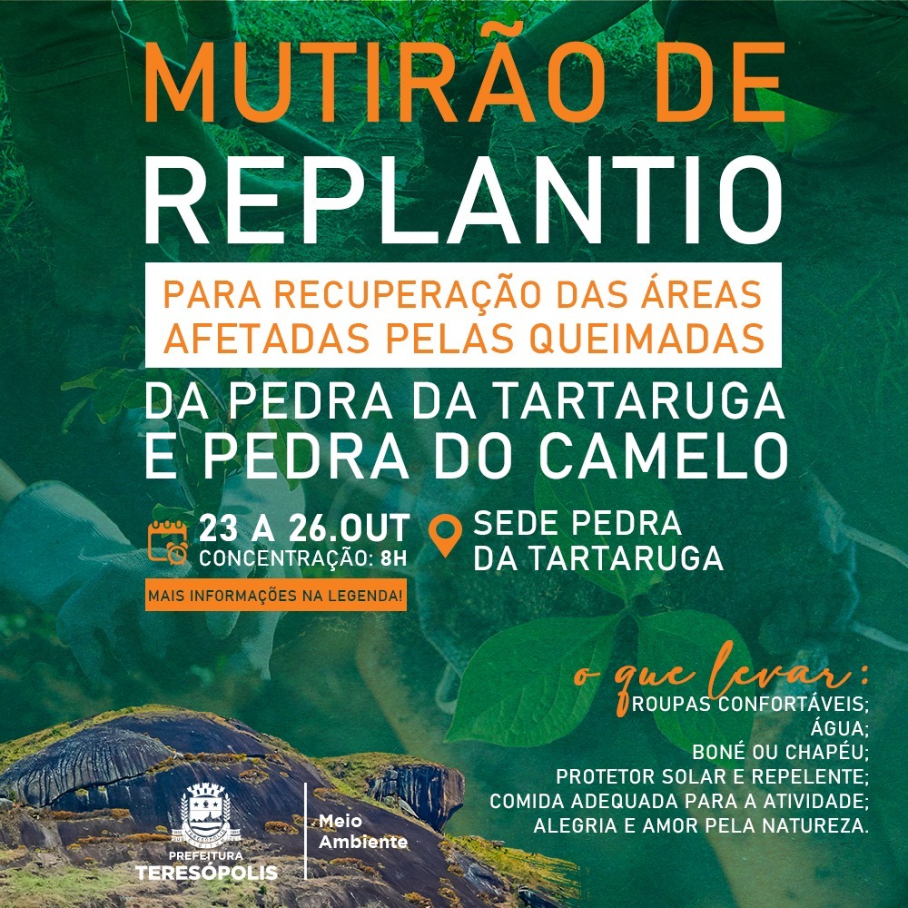 Parque Municipal Montanhas de Teresópolis convida população para mutirão de reflorestamento