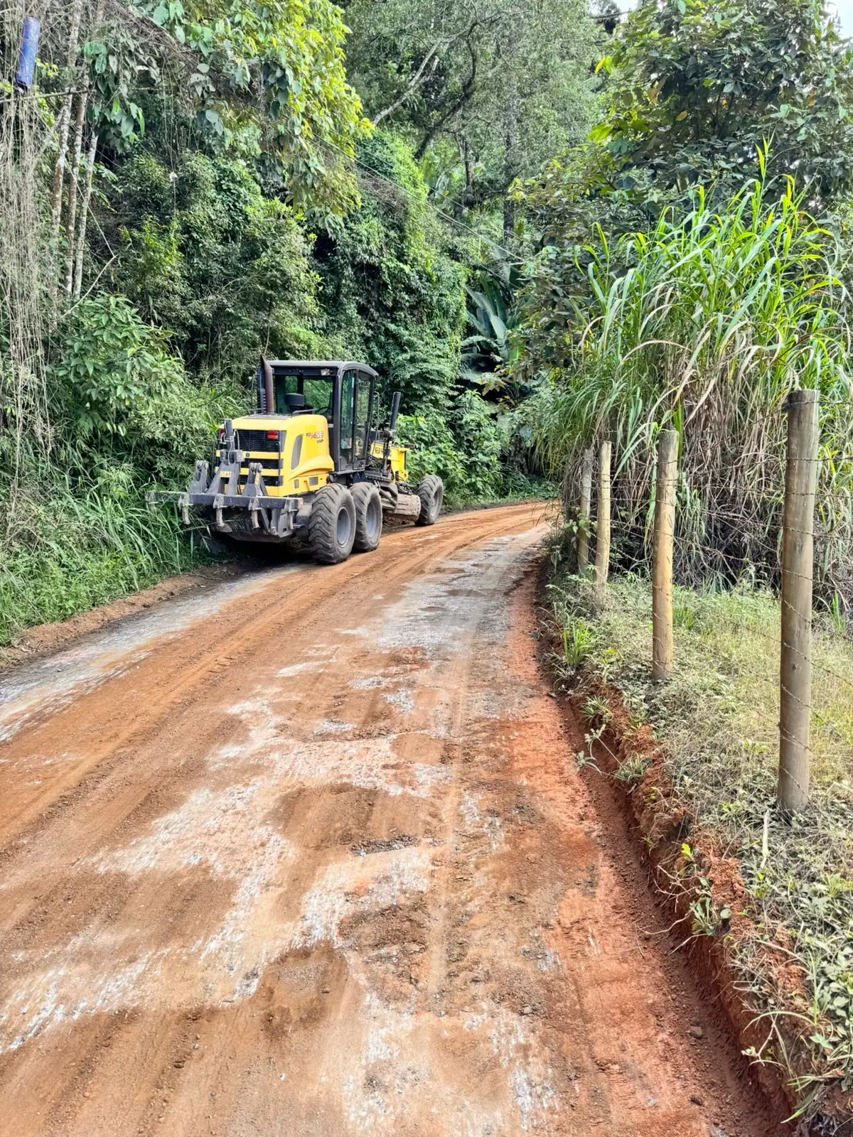 Manutenção e limpeza dos bairros: Secretaria de Agricultura segue com os trabalhos em ritmo intenso