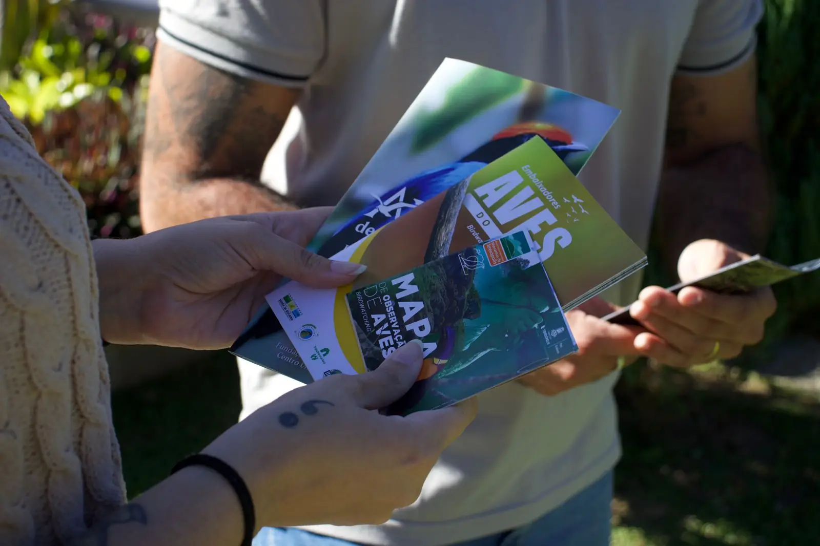 Toca da Cigarra pode se tornar novo polo de birdwatching em Teresópolis