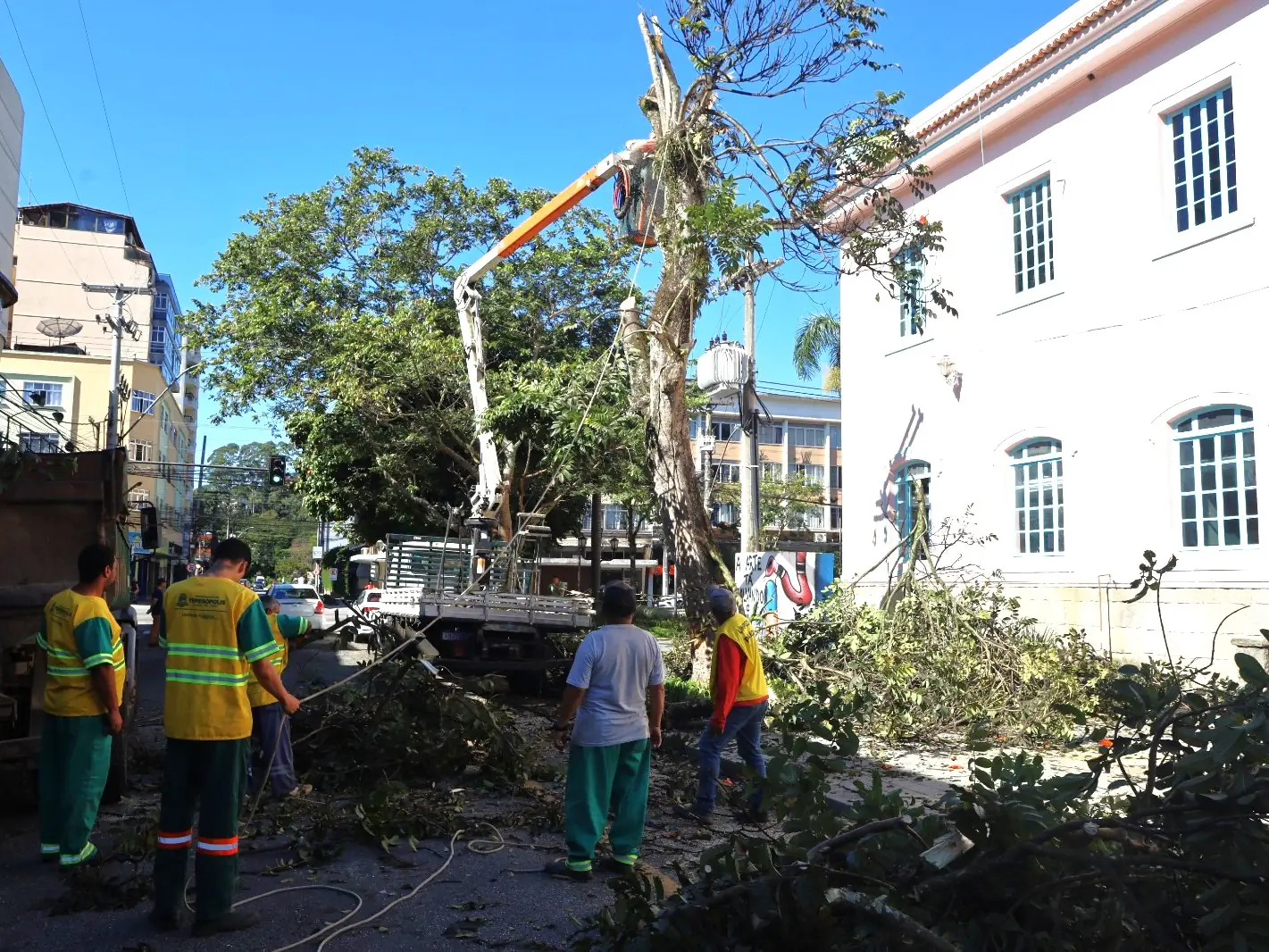 Prefeitura de Teresópolis poda arbustos e remove árvores com risco de queda na Praça Governador Portella