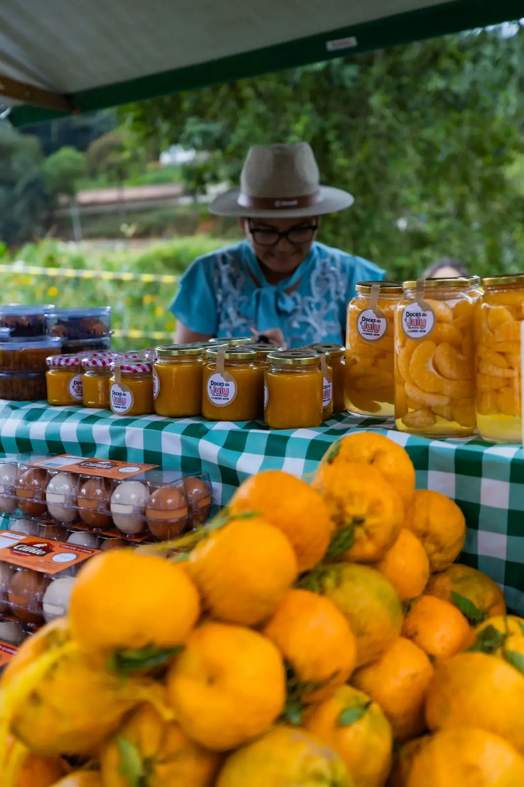 Festa da Ponkan 2025 bate recorde de público e reforça protagonismo de Teresópolis na produção da fruta