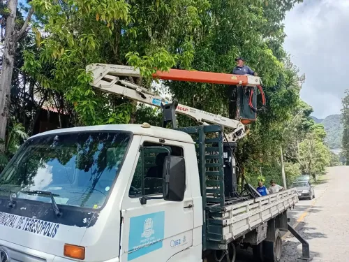 Teresópolis: Secretaria de Obras executa poda de árvores e manutenção em bairros