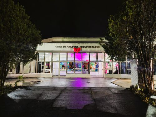 Agenda cultural de Teresópolis: Jiu-Jítsu, Bossa Nova e Comédia em destaque no fim de semana