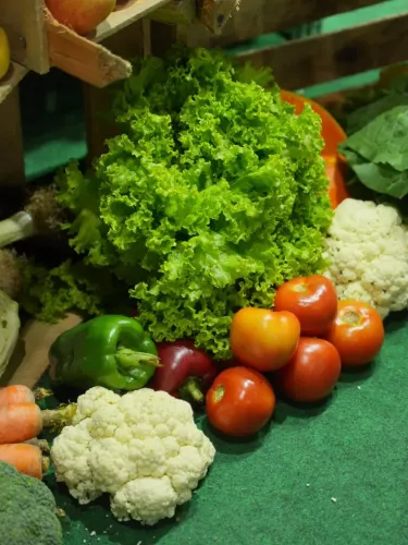 Teresópolis destaca seu potencial de agroturismo com estande exclusivo no Caminho Agro Rio